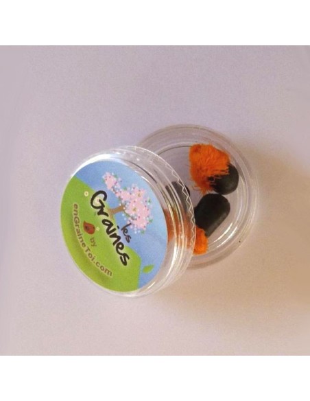 Capsule à Graines