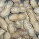 Graines Arachide (Cacahuète)