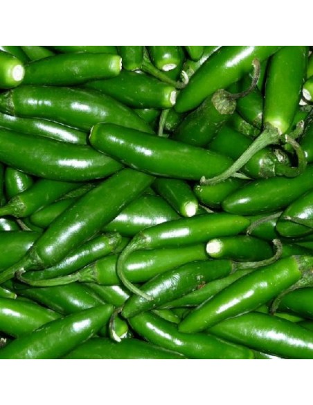 Graines Piment 'Serrano" (Piment fort)