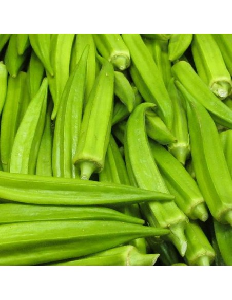 Graines Okra Clemson Spineless (Gombo)