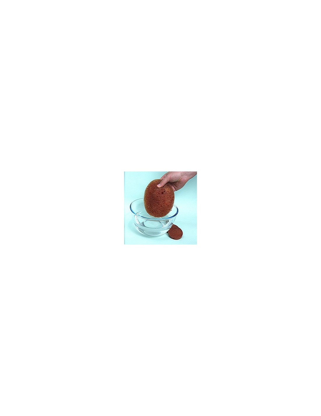 Boules D'arrosage Automatique Pour Plantes - Lot De 2, 500 Ml Chacune - Irrigation Goutte à Goutte - Pour Intérieur, Bureau, Vacances