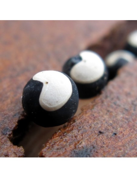 Graines Cardiospermum halicacabum (Pois de coeur, Graine de coeur)