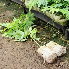 Godet tissu biodegradable - 10 sacs 8cm X 8cm