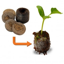 Pastille de tourbe Jiffy Ø38mm x 10