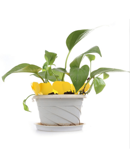 12 étiquettes plastique JAUNE pour semis, bouture, potée - 4,5x2,5cm