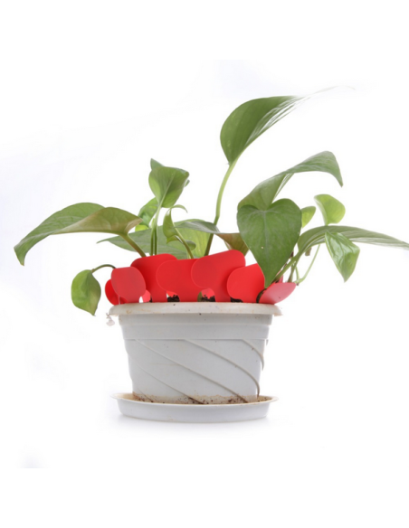12 étiquettes plastique ROUGE pour semis, bouture, potée - 4,5x2,5cm