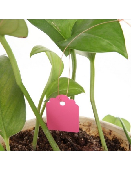 20 étiquettes plastique rose à suspendre - 3,6x2,5cm