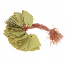 20 étiquettes PVC vert à suspendre - 3,6x2,5cm