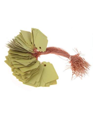 20 étiquettes PVC vert à suspendre - 3,6x2,5cm