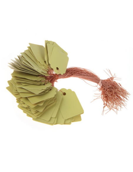 20 étiquettes PVC vert à suspendre - 3,6x2,5cm