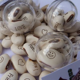 Boule transparente et ses 3 graines de haricots magiques blanc