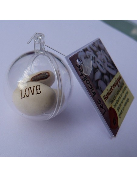 Boule transparente et ses 3 graines de haricots magiques blanc