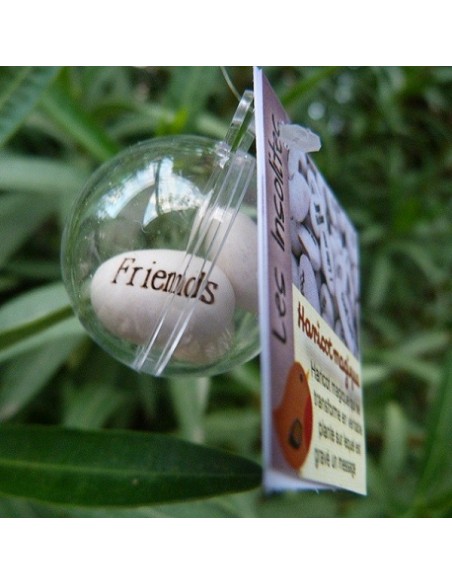 Boule transparente et ses 3 graines de haricots magiques blanc