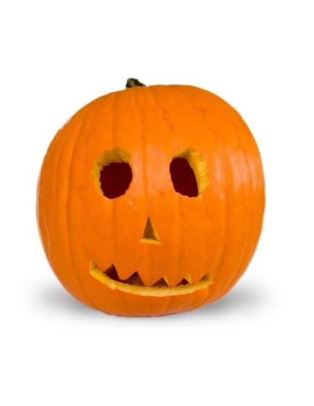 Graines Courge 'Jack O Lantern'