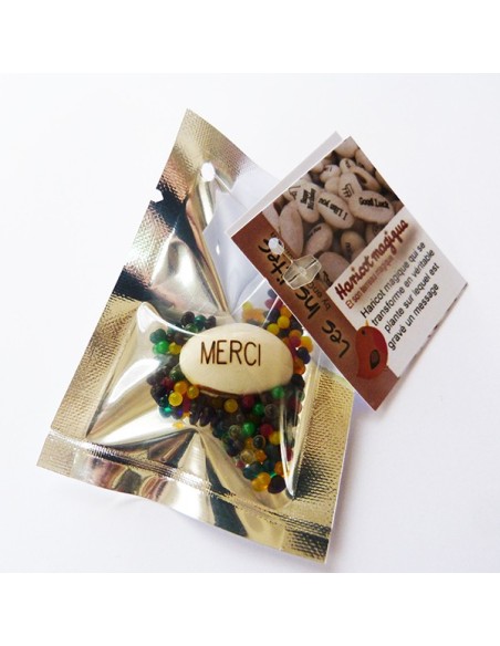 Haricot Magique et son terreau multicolore (en sachet)