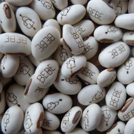 Haricot Magique et son terreau multicolore