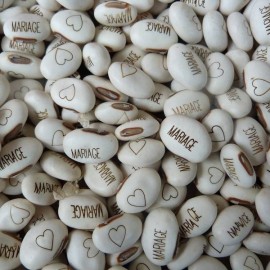 Haricot Magique et son terreau multicolore