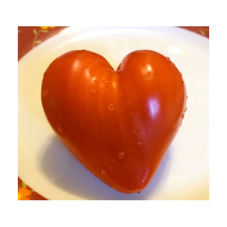 Tomate coeur - Moule en plastique (Moulage de fruits et légumes)