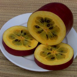 Sicana odorifera (Cassabanana)