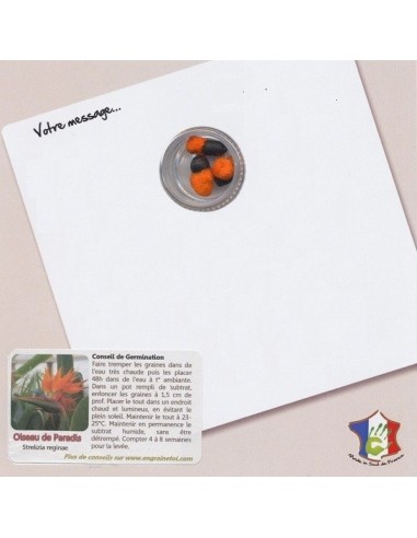 Joyeux anniversaire - Carte à graines