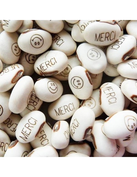 Graines Haricot Magique 'MERCI' pour faire passer votre message