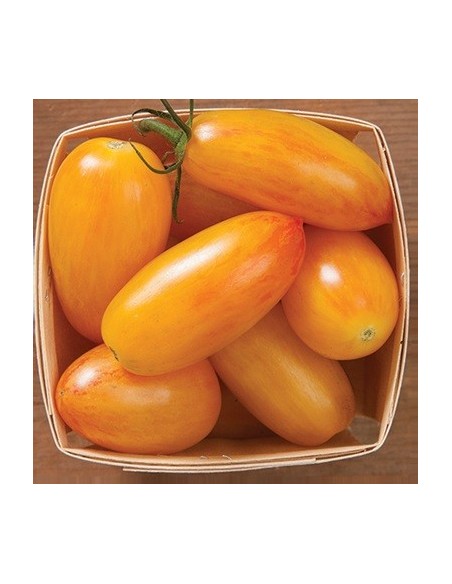 Tomate ARTISAN™ Blush Tiger