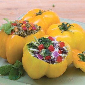 Tomate Yellow stuffer (tomate poivron)