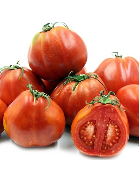 Tomate Red Pear