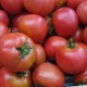 Tomate Rose de Berne (tomate ancienne)