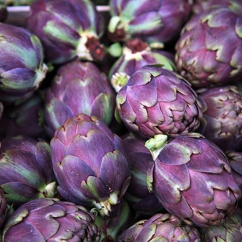 Pinkdose Violet Romagne Artichaut Semences potagÃ¨res italienne semences 
