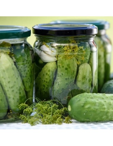 Concombre National (cornichon)