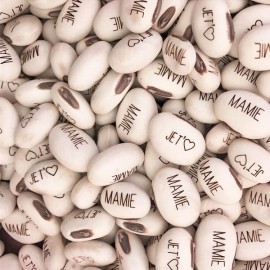 terreau magique multicolore