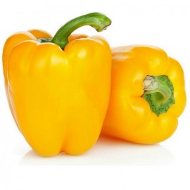 Poivron Quadrato D'Asti Giallo