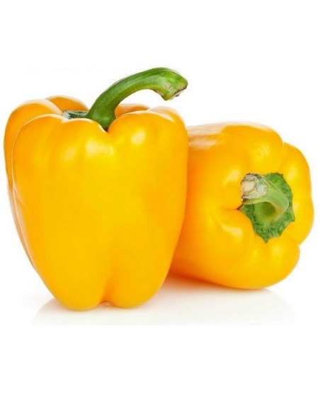 Poivron Quadrato D'Asti Giallo