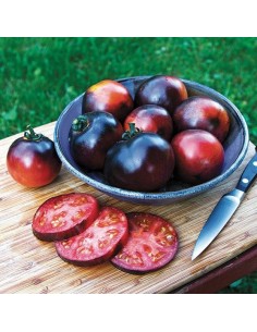Tomate Indigo Apple (Tomate cocktail) 2