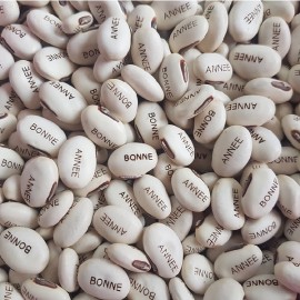 Haricot Magique "BONNE ANNEE" et son terreau multicolore