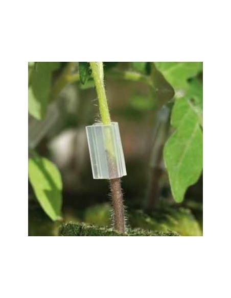 Clip de greffage 2,5 mm
