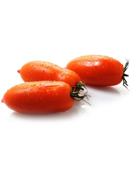 Tomate San Marzano 2