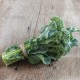 Brocoli De Cicco (Brocoli asperge)