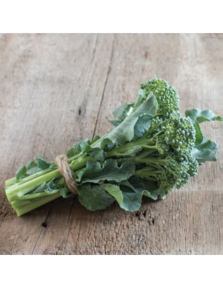 Brocoli De Cicco (Brocoli asperge)