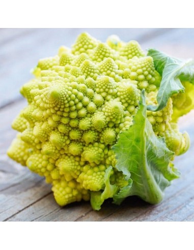 Brocoli Romanesco