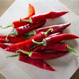 Piment Sucette de Provence