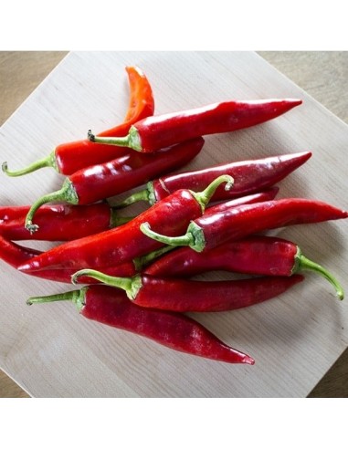 Piment Sucette de Provence