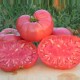 Tomate Watermelon Beefsteak (tomate ancienne)