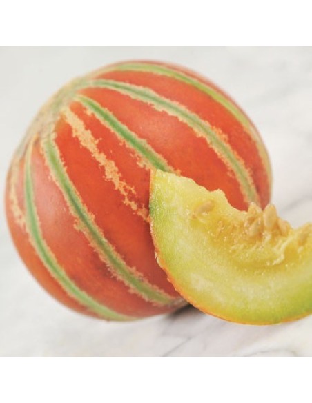 Melon Kajari