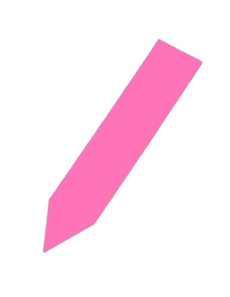 12 étiquettes plastique ROSE pour semis - 10x2cm