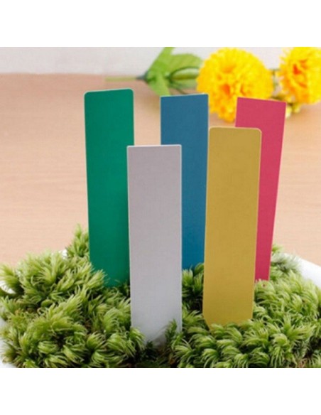 12 étiquettes plastique BLANCHE pour semis - 10x2cm