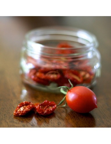 Kit futé  - Mes Tomates Anciennes