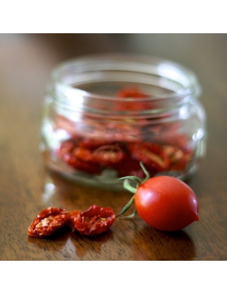 Kit futé  - Mes Tomates Anciennes