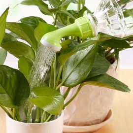 Kit futé - Des Tomates pour Ma Région n°2 - SPECIAL Sud de la France